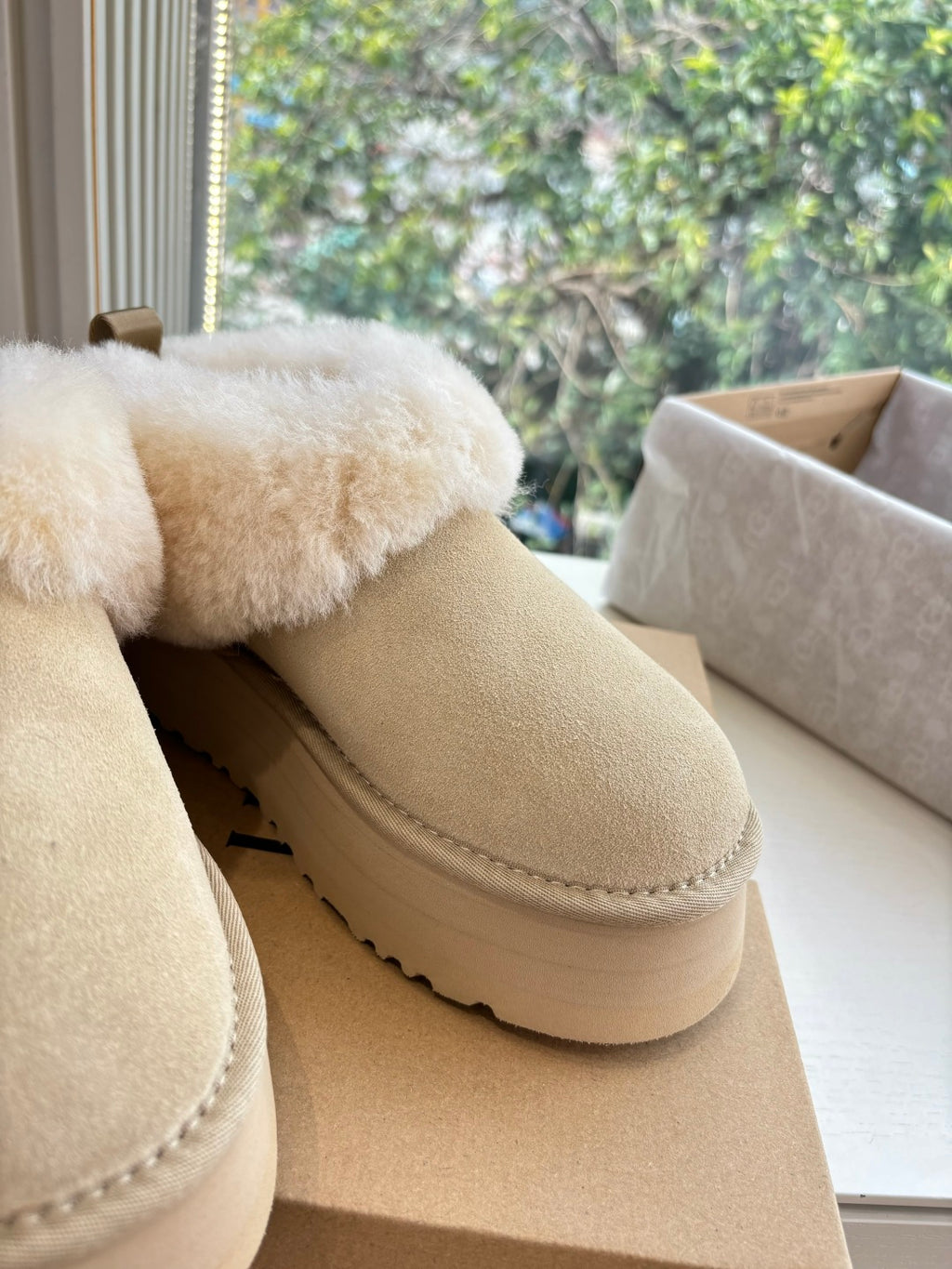 Ugg Boat