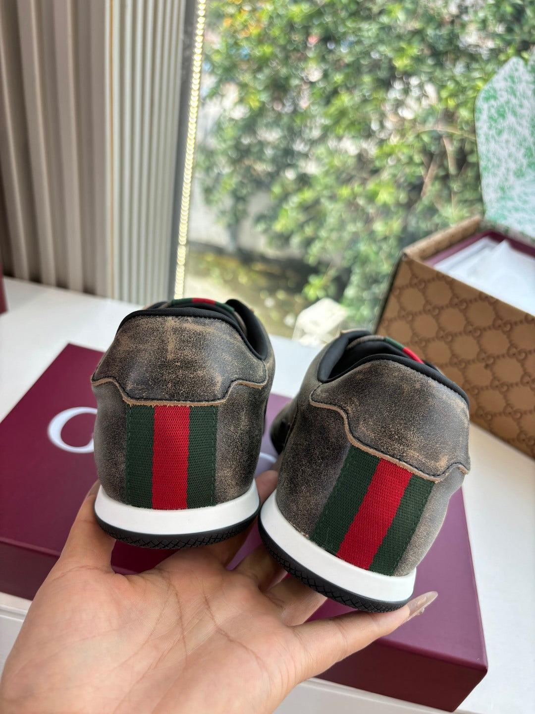 Gucci Sneaker