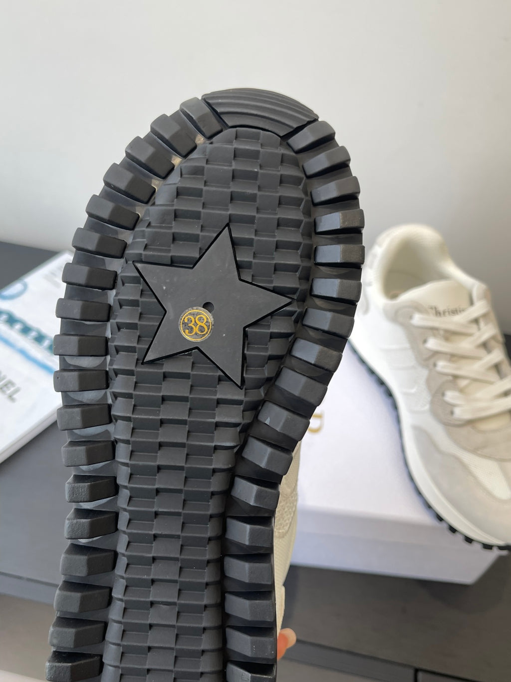 Dior Sneaker