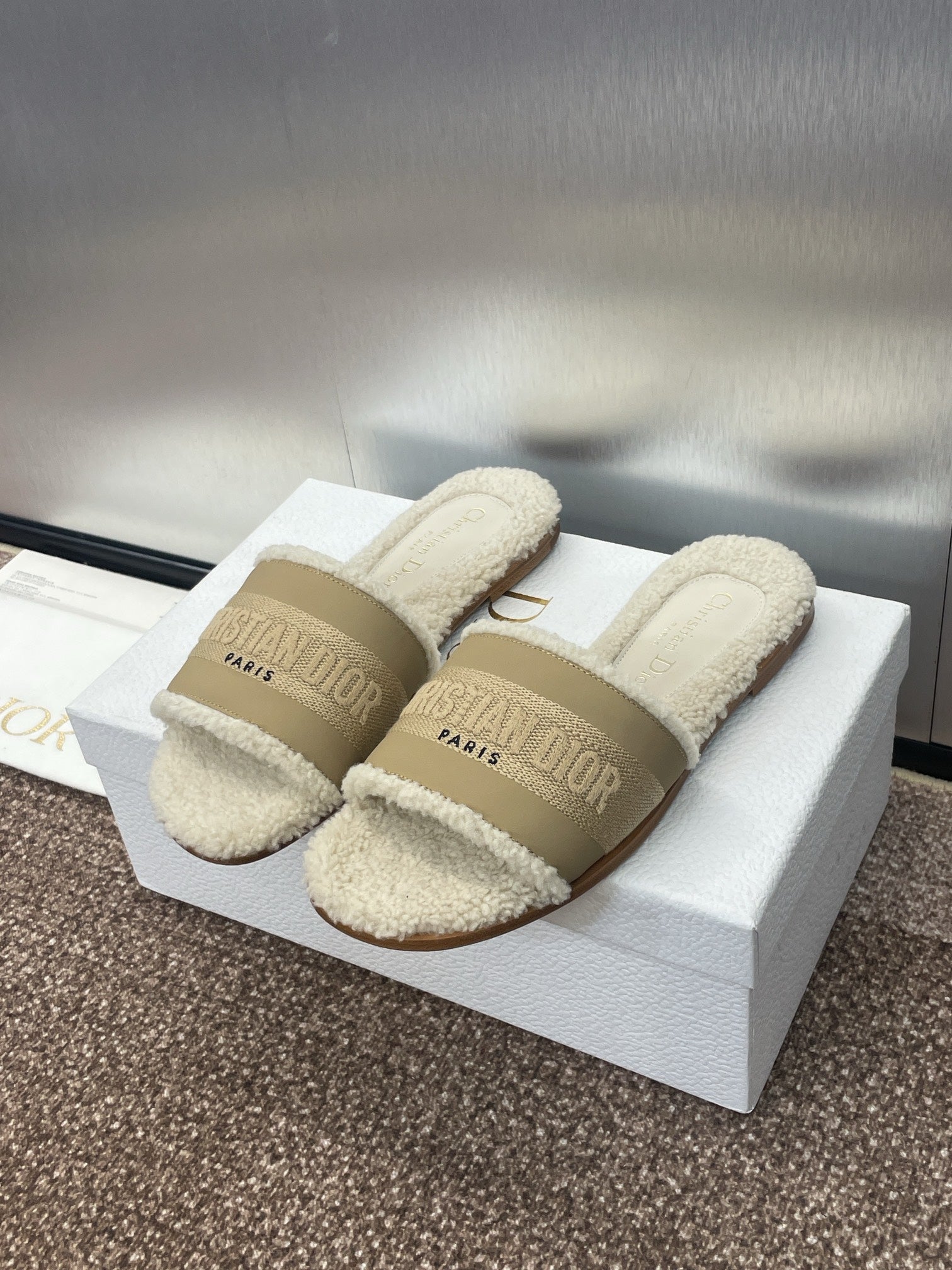 Christian Dior Slipper
