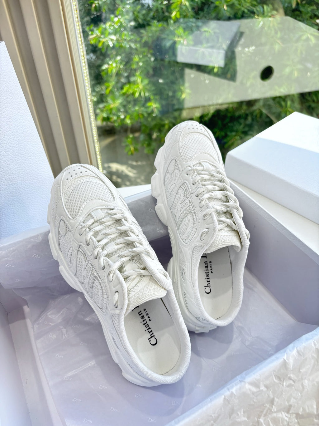 Dior Sneaker