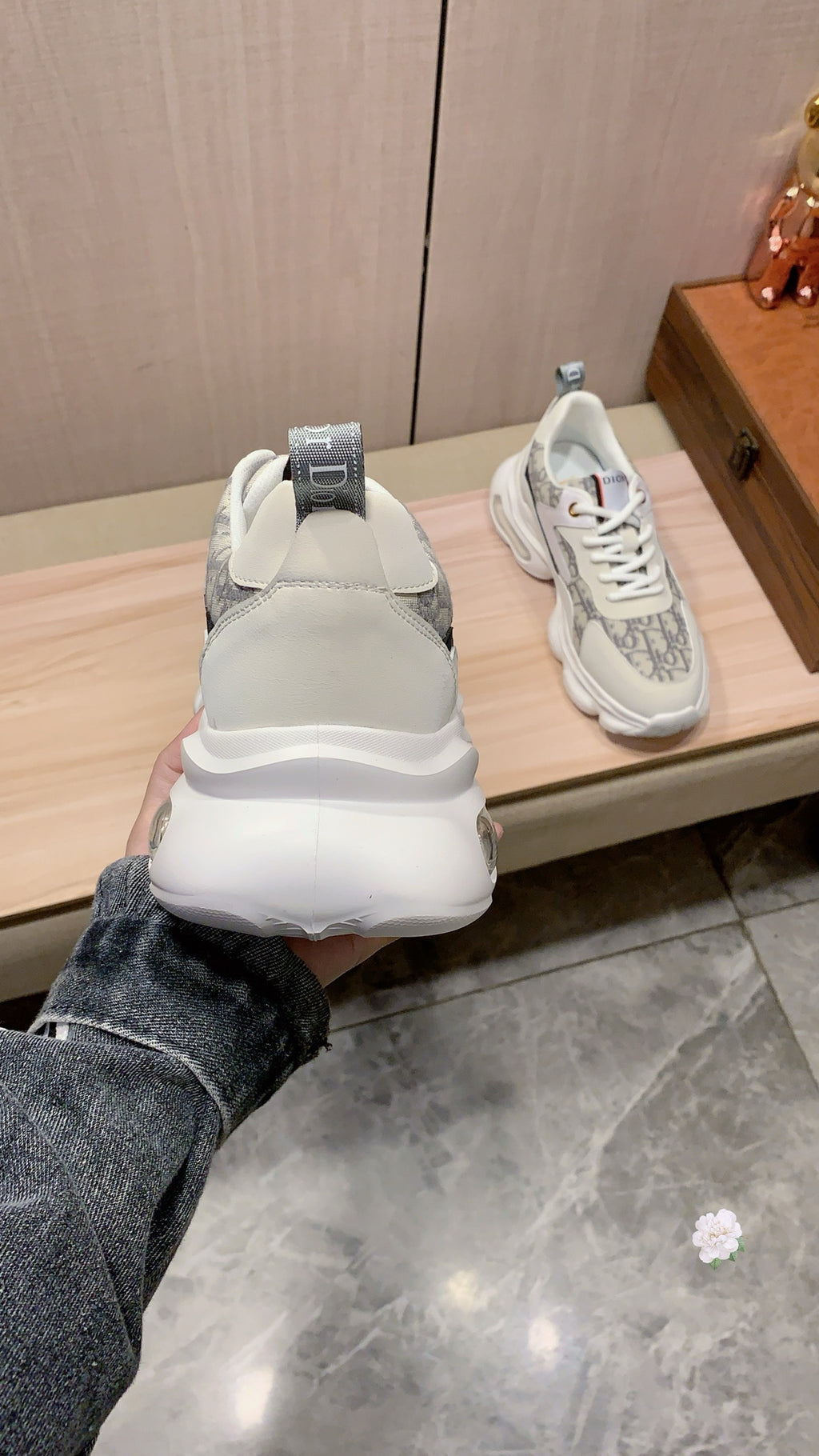 Dior Sneaker