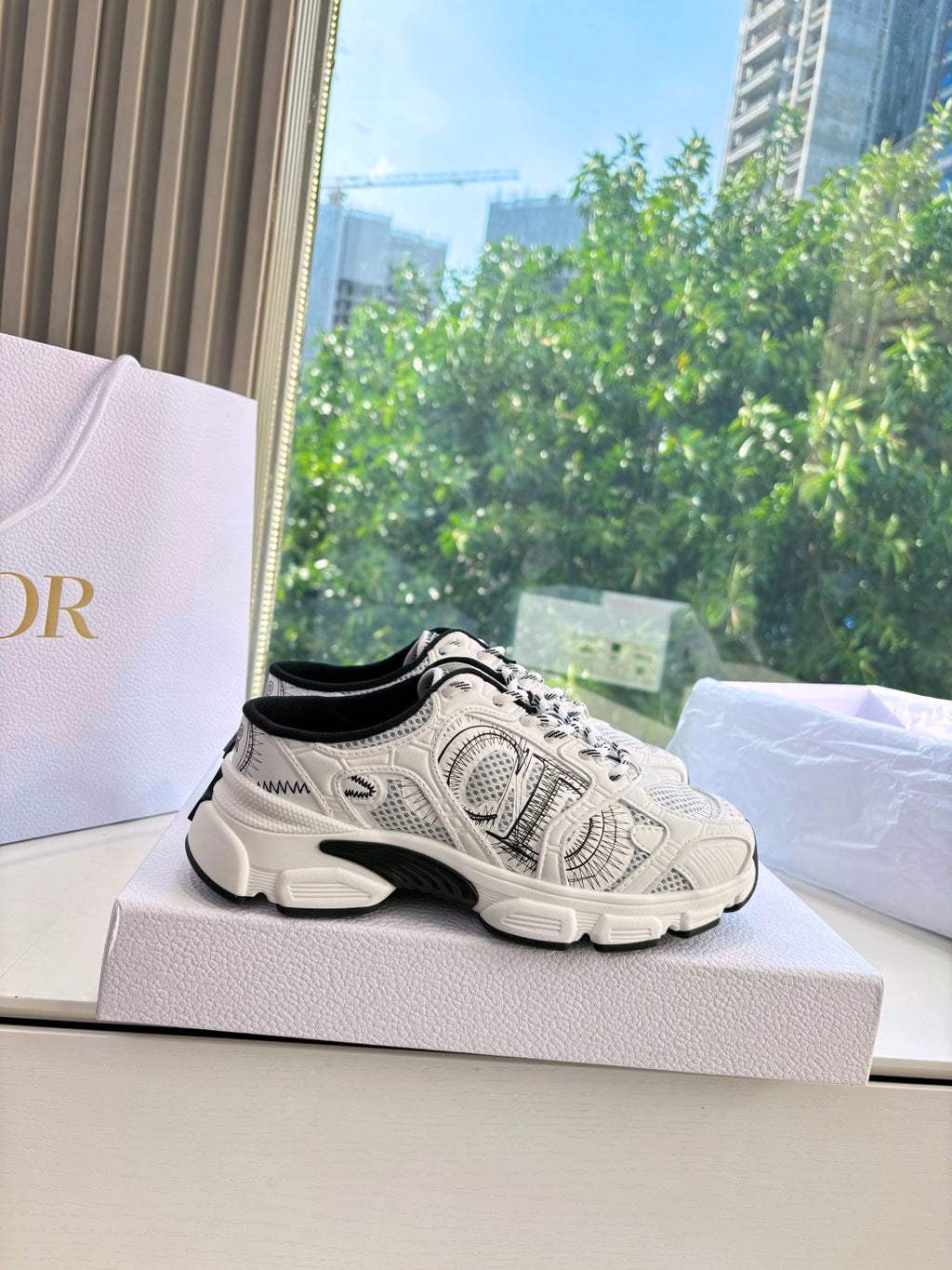 Dior Sneaker