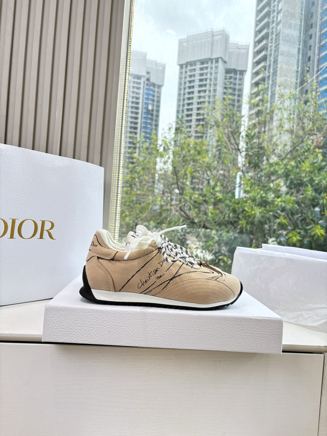 Dior Sneaker