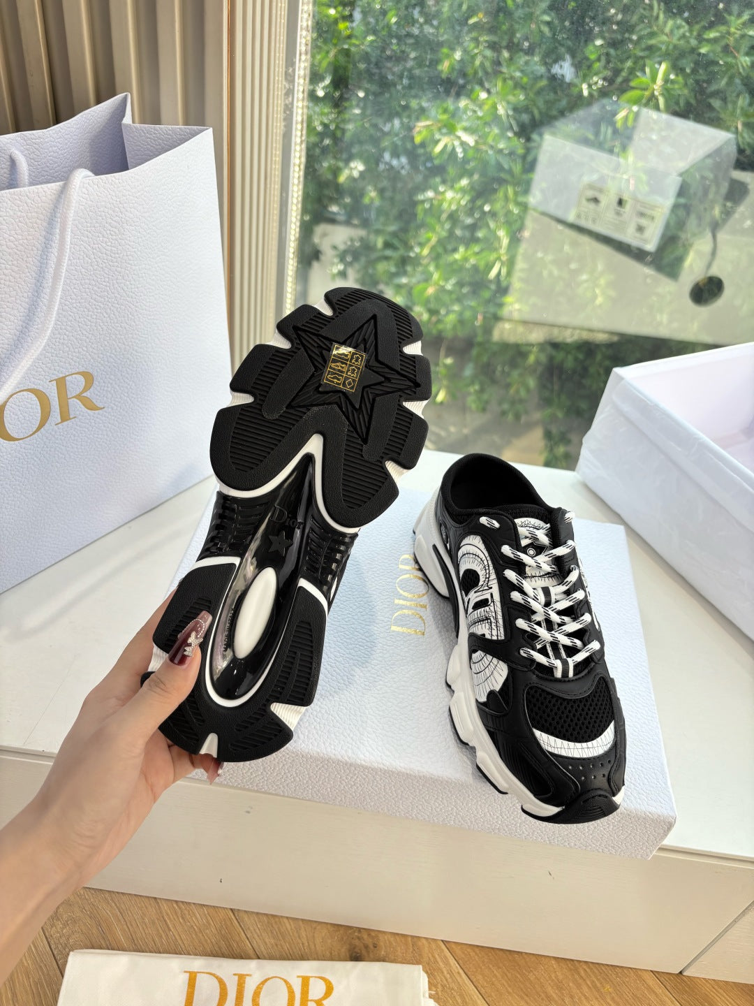 Dior Sneaker