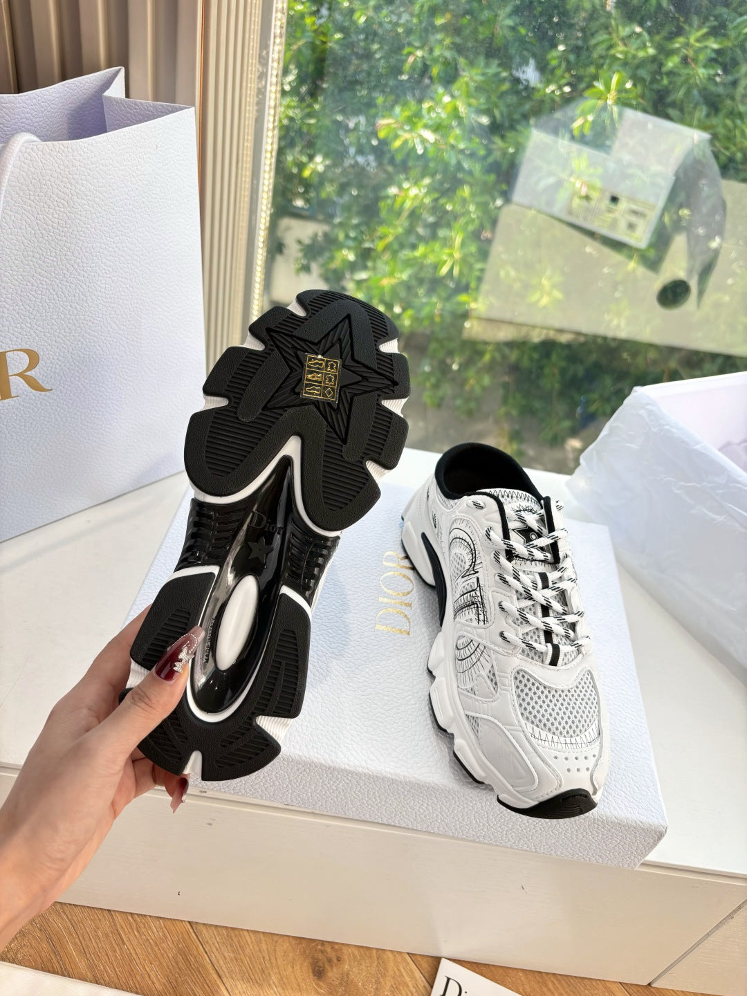 Dior Sneaker