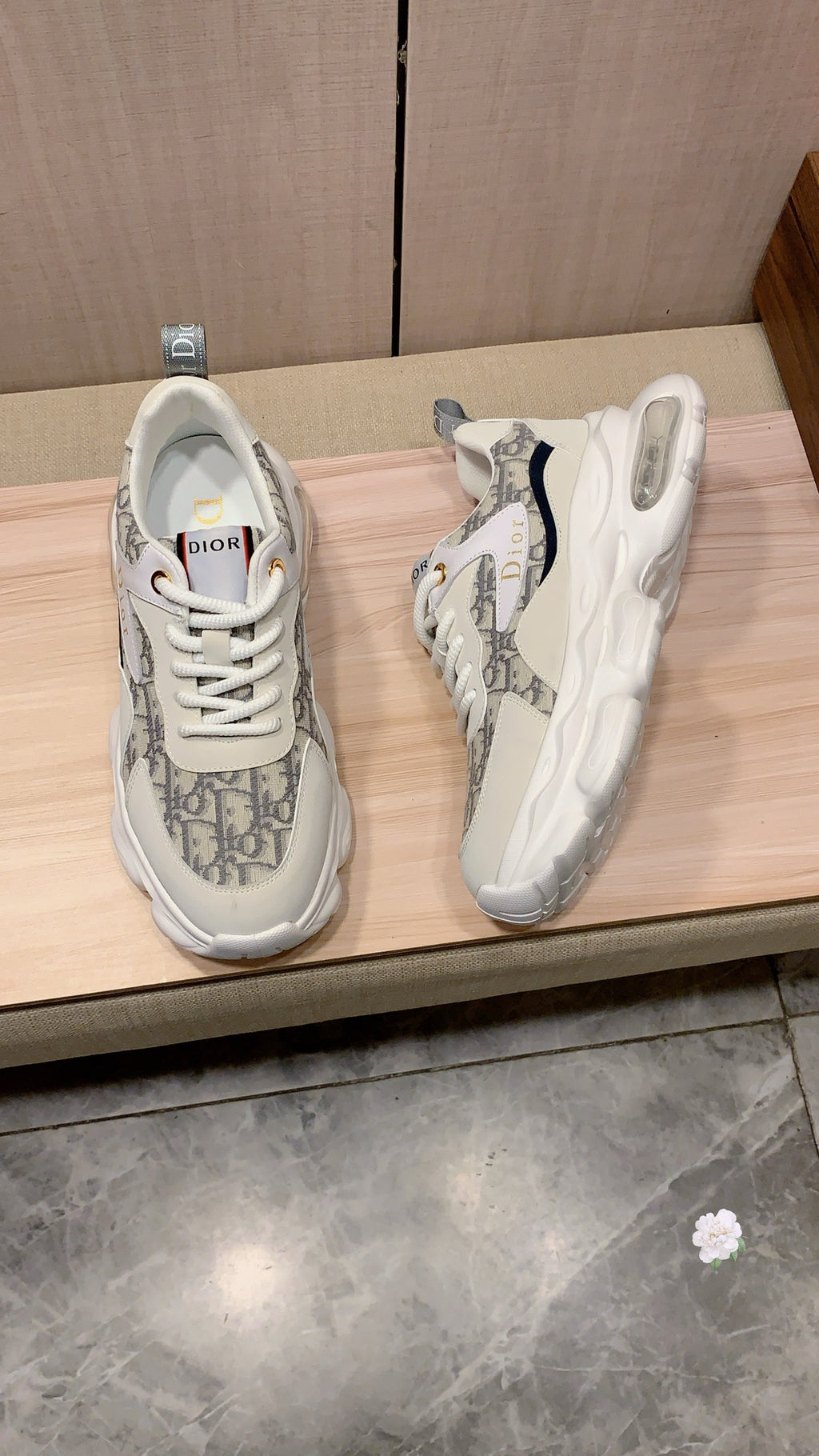 Dior Sneaker