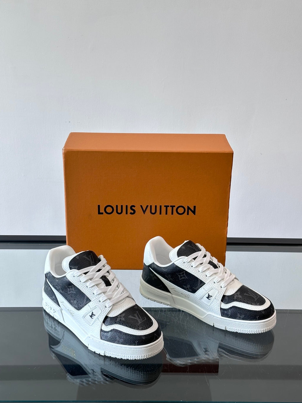 Louis Vuitton Sneaker