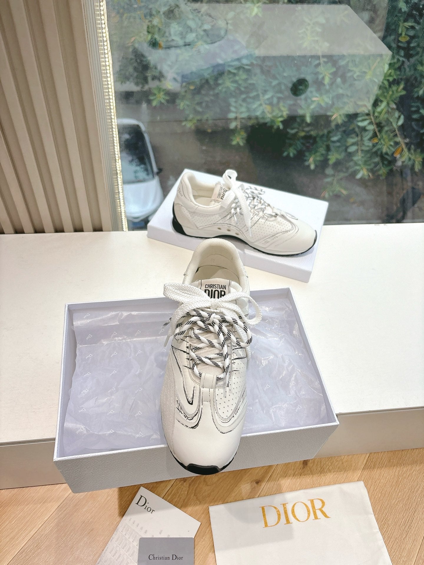 Dior Sneaker