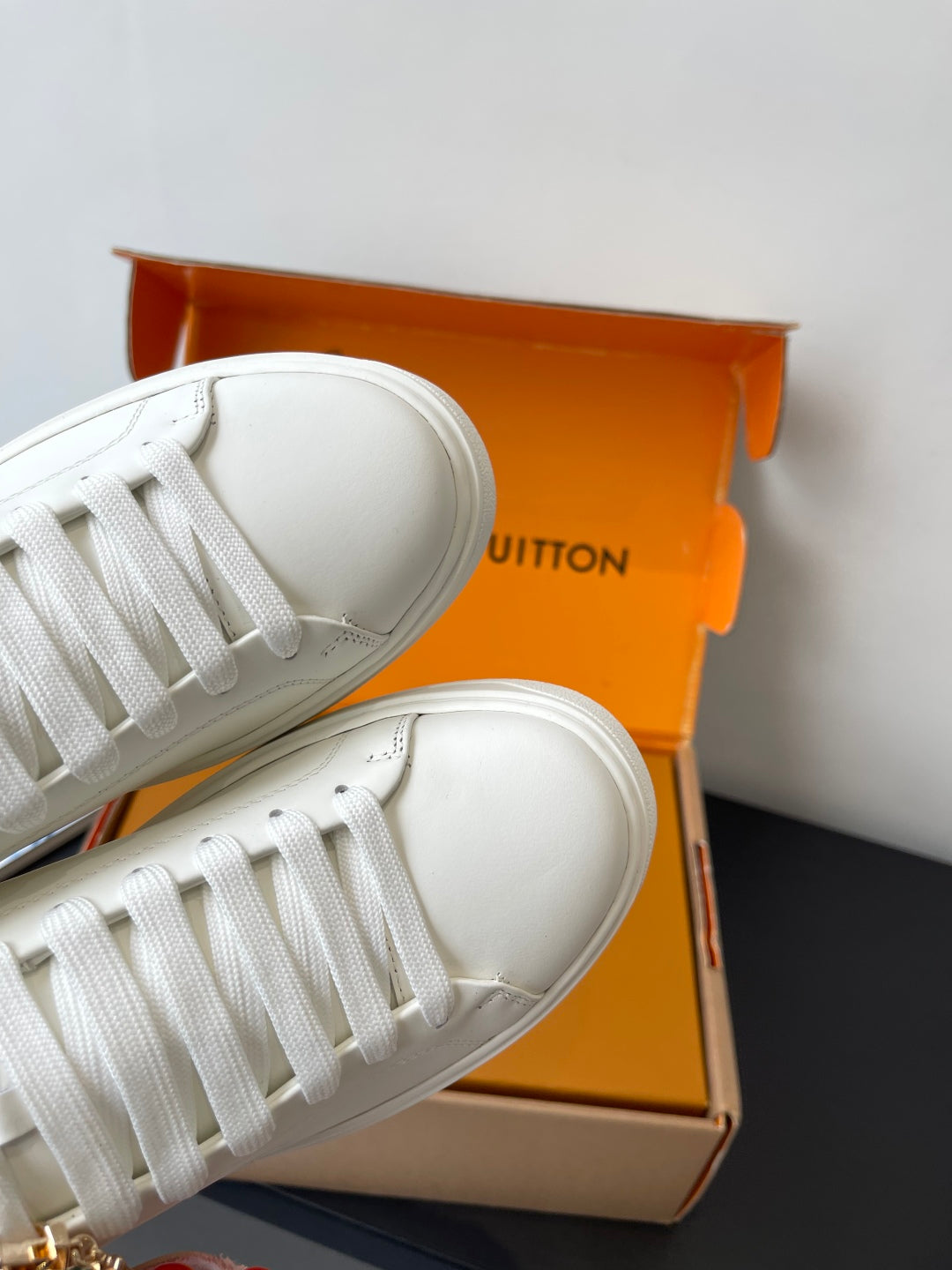 Louis Vuitton Sneaker