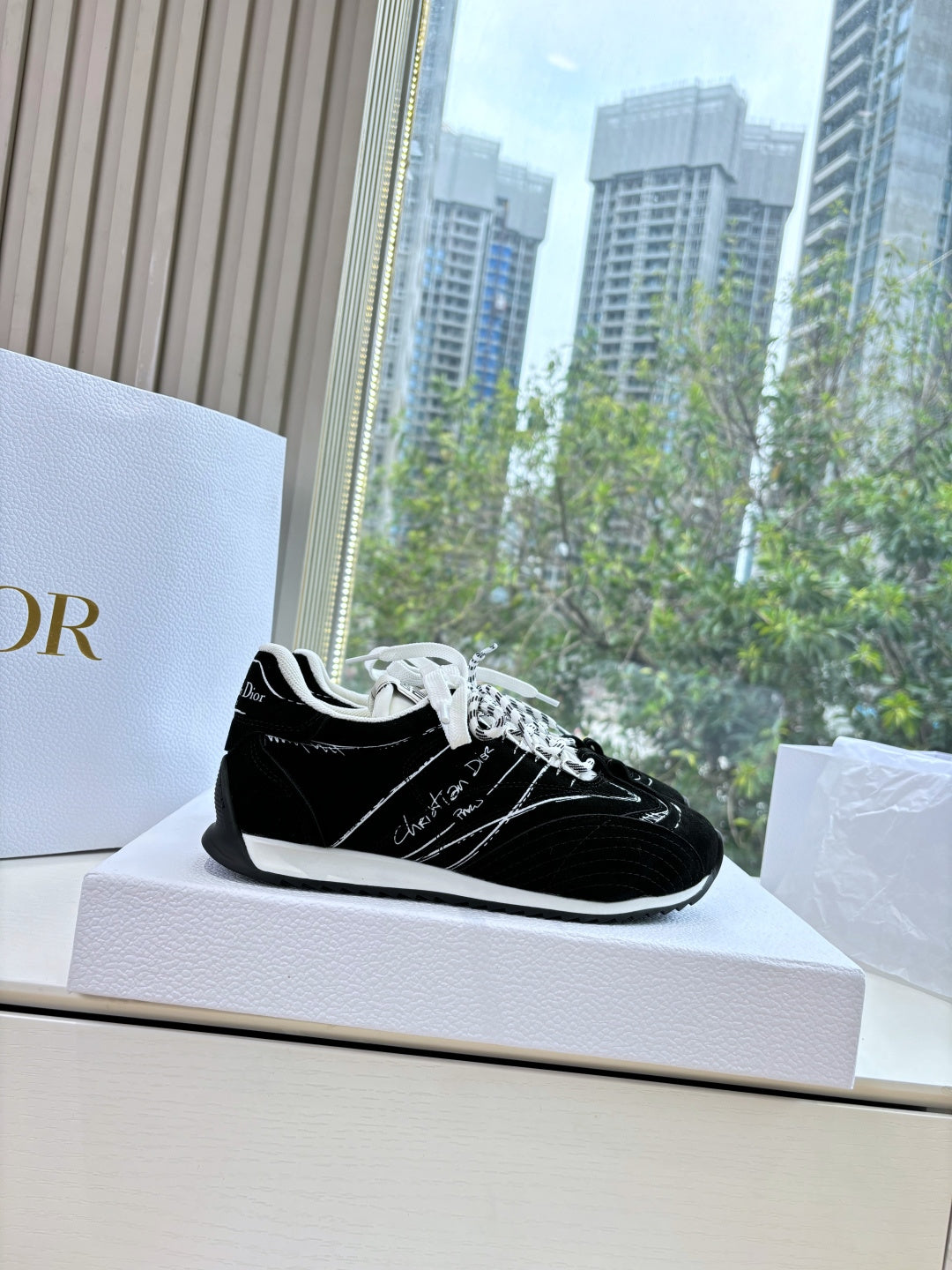 Dior Sneaker