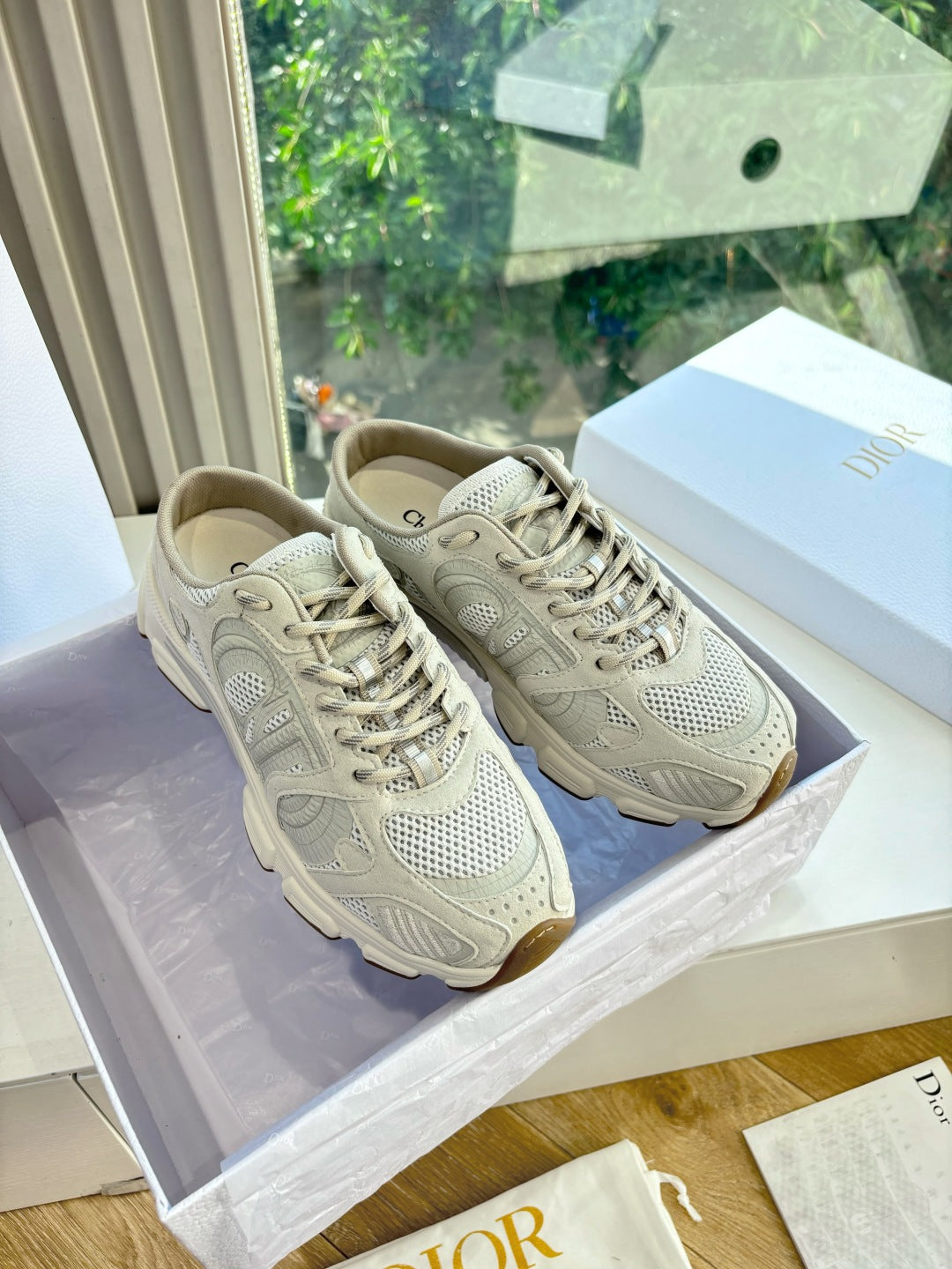Dior Sneaker