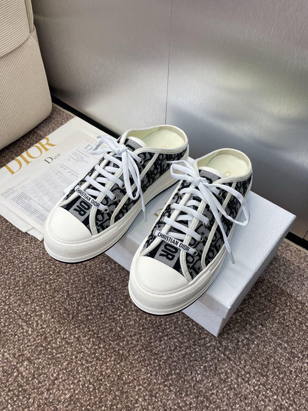 Dior Sneaker