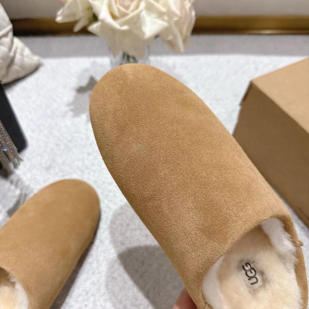 Ugg Slipper