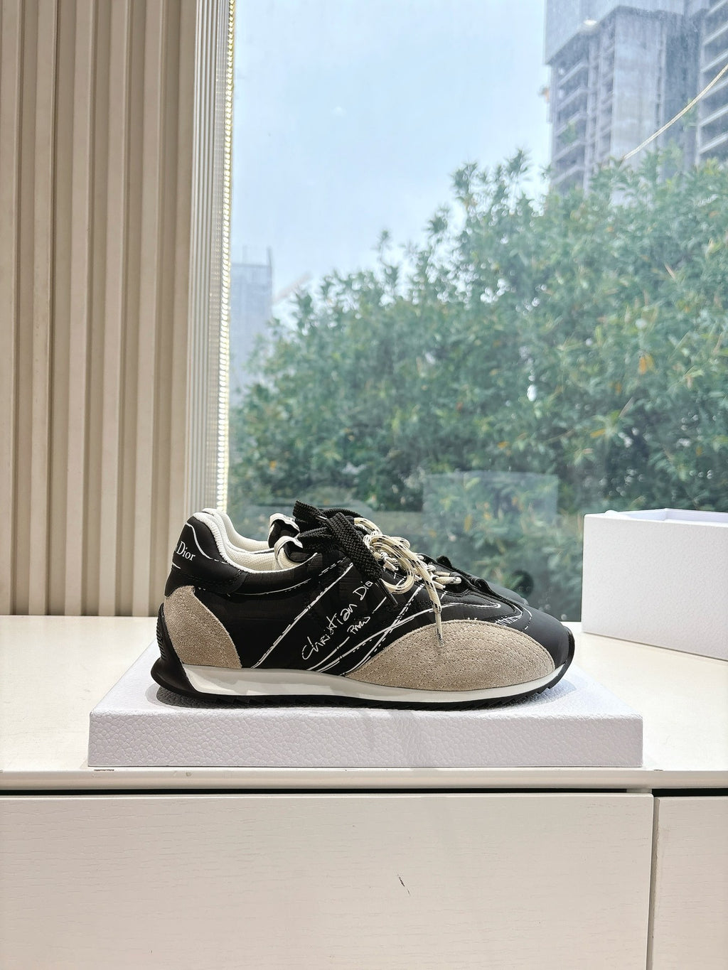 Dior Sneaker