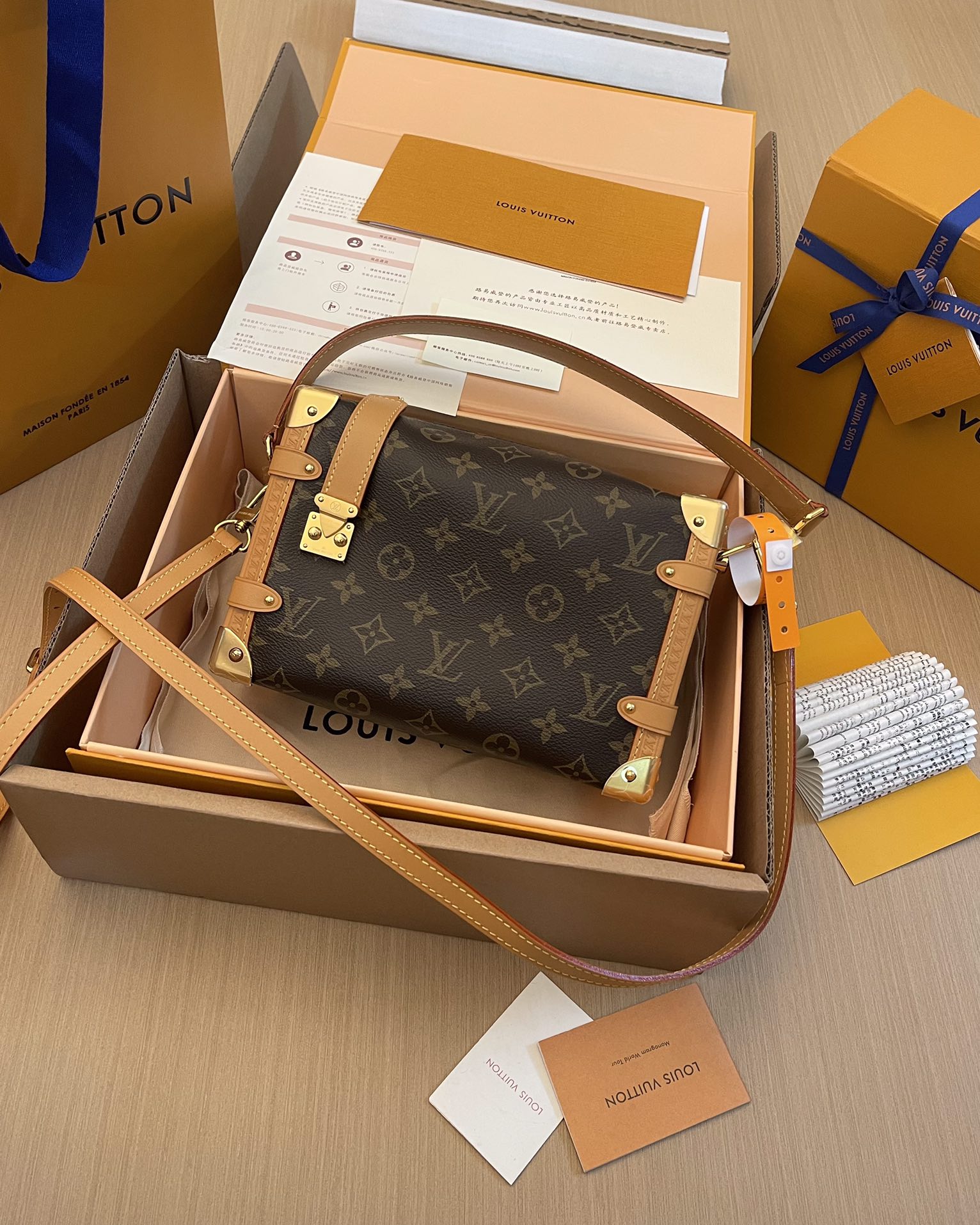 Louis Vuitton Bag