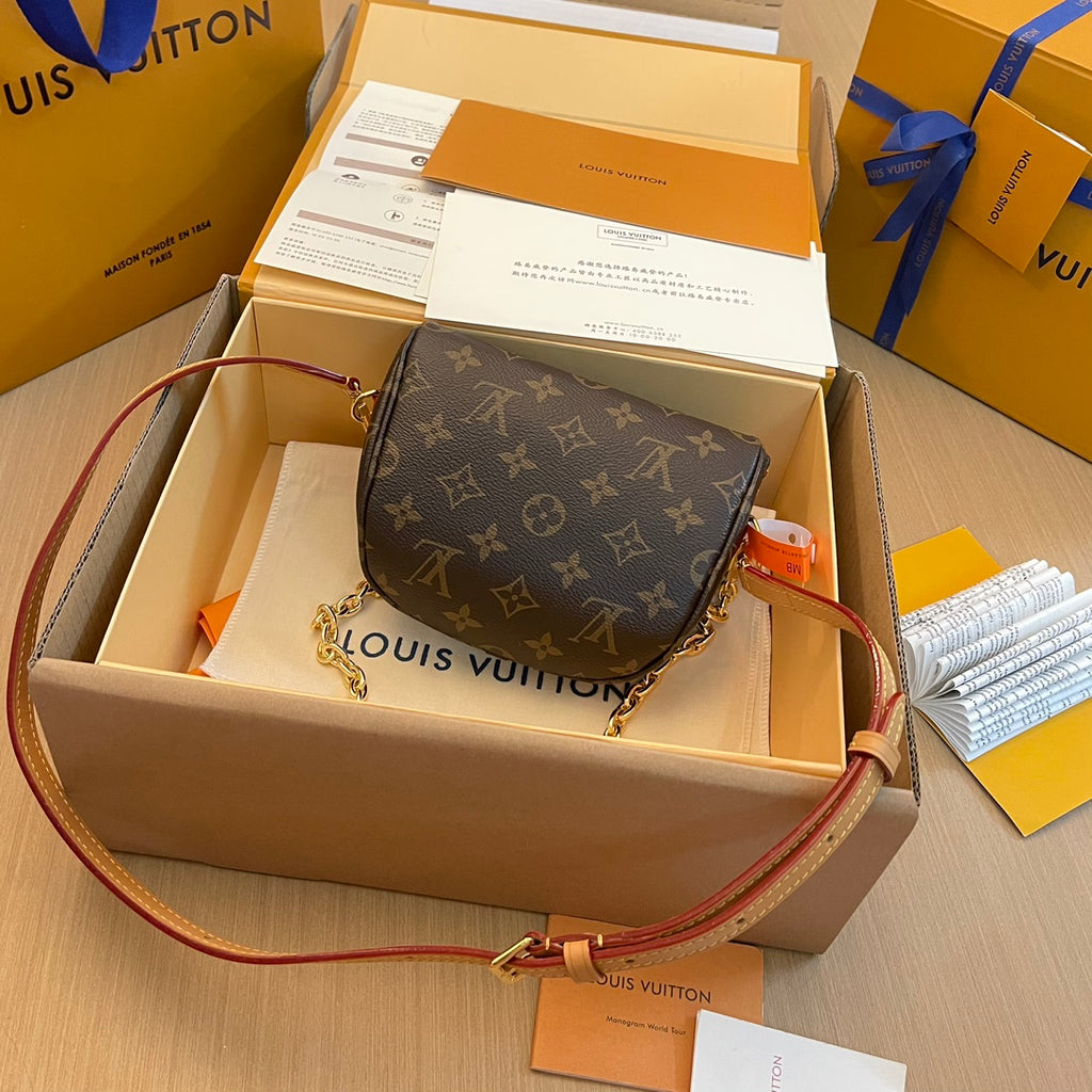 Louis Vuitton Bag
