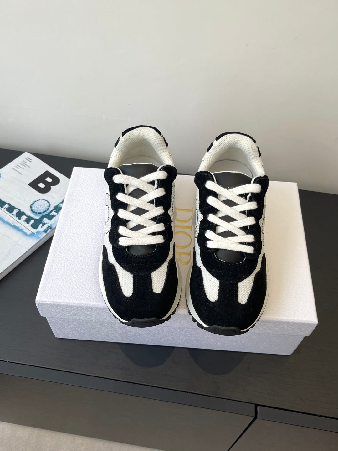 Dior Sneaker