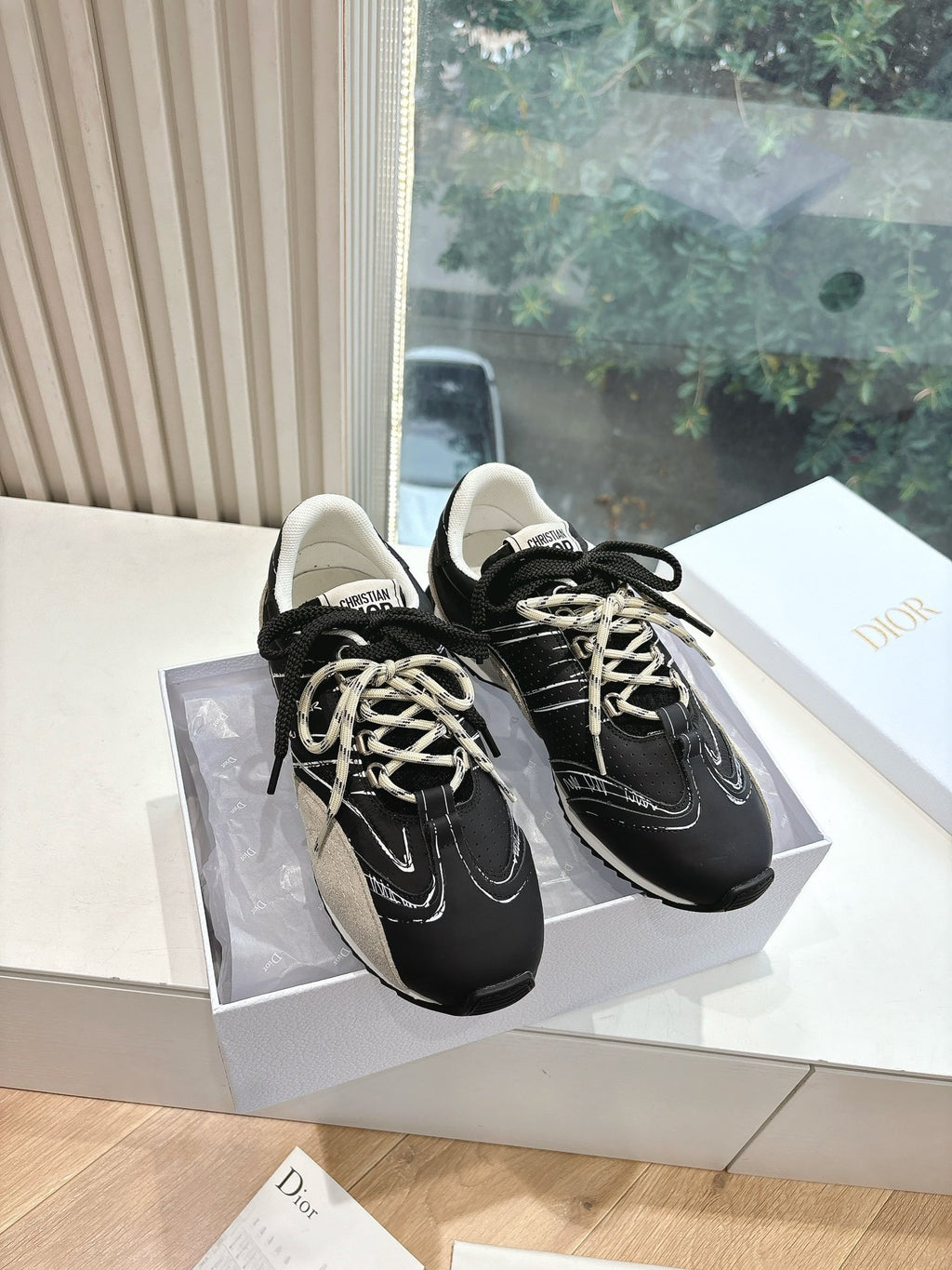 Dior Sneaker