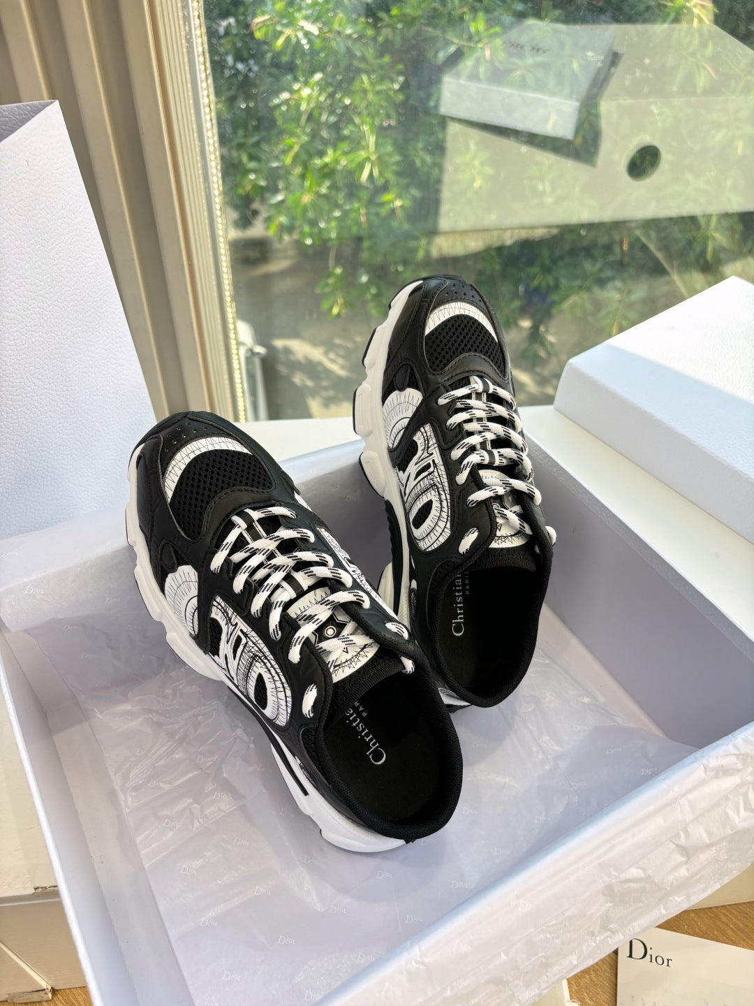 Dior Sneaker