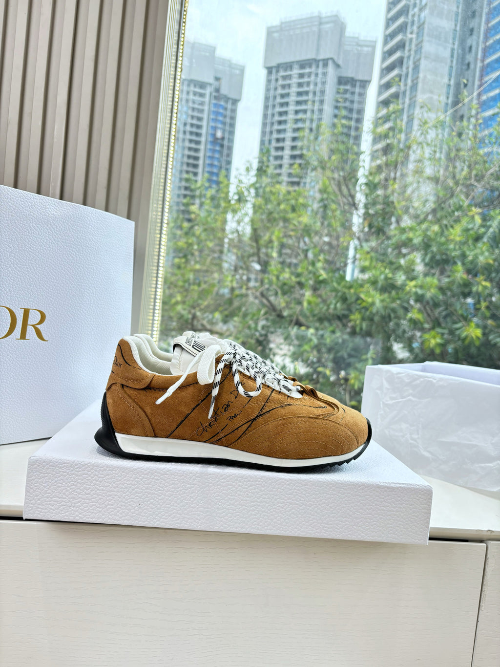 Dior Sneaker