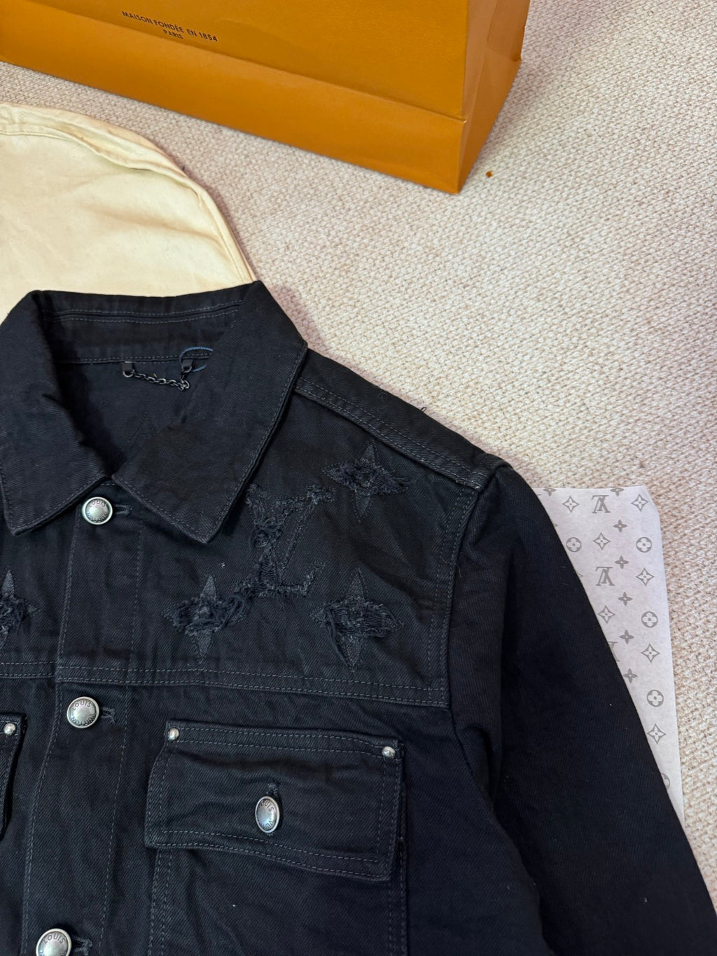 Louis Vuitton Kot Ceket