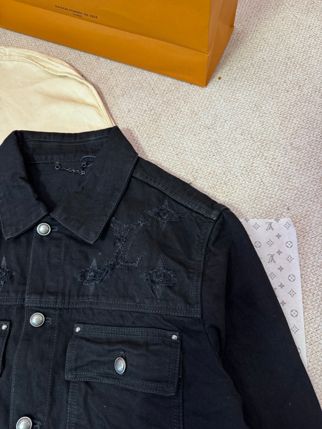 Louis Vuitton Kot Ceket