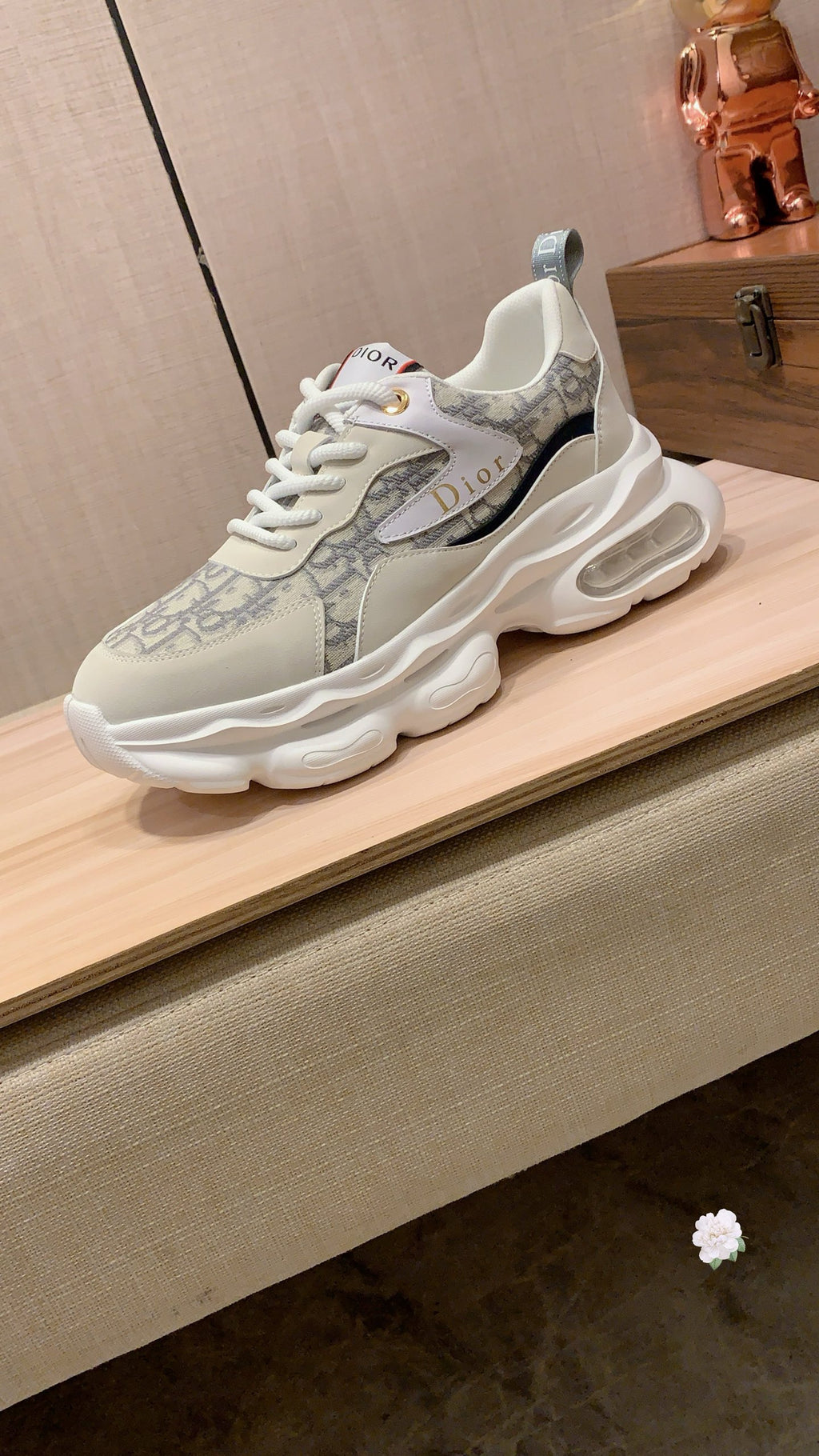 Dior Sneaker