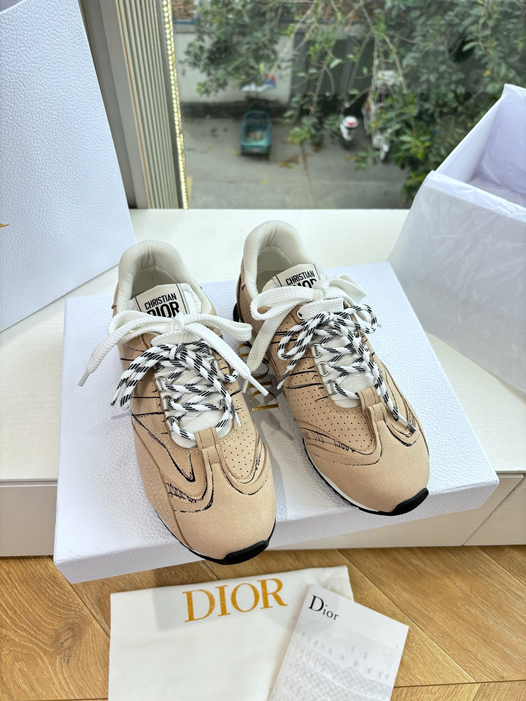 Dior Sneaker