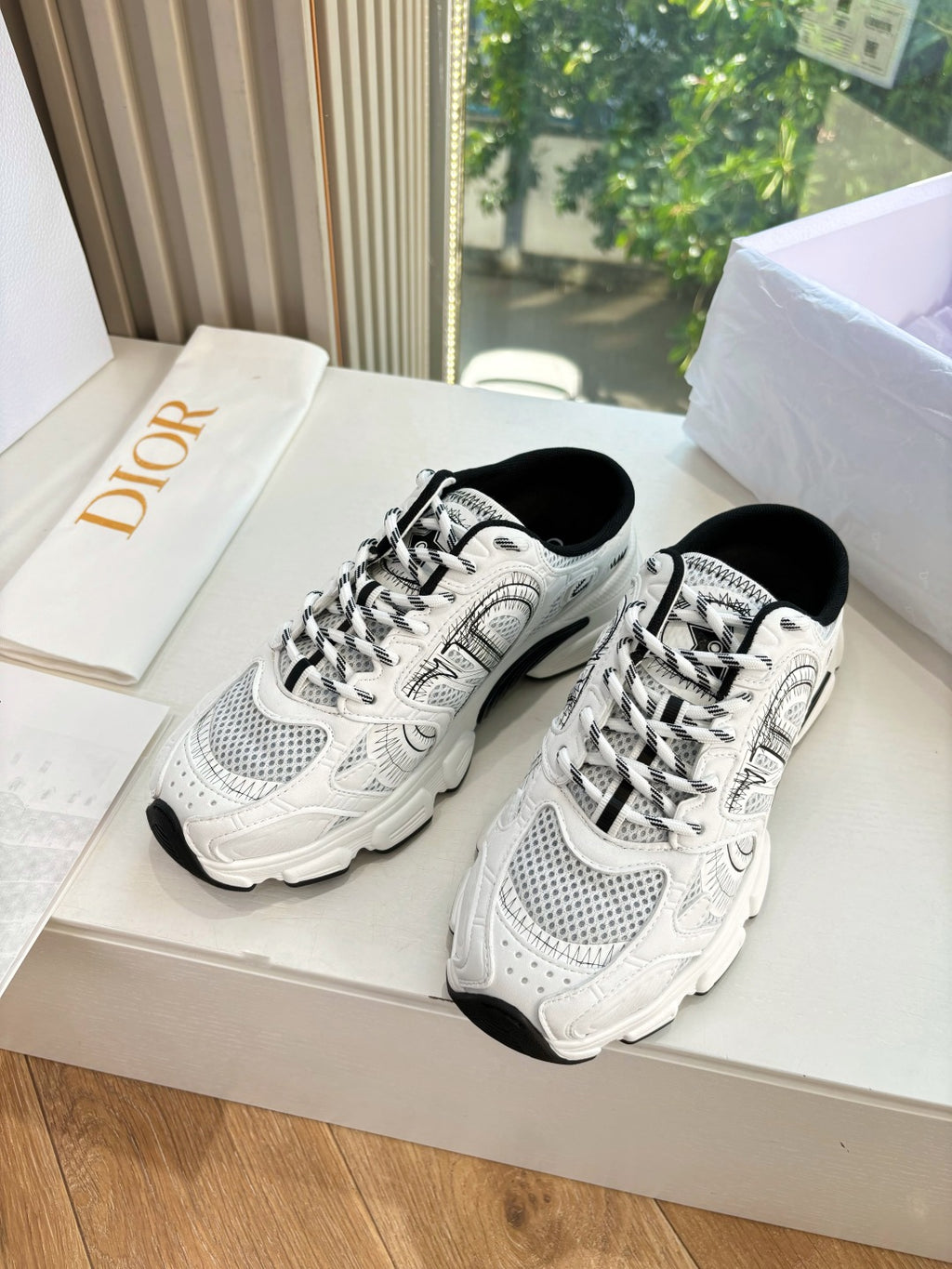 Dior Sneaker