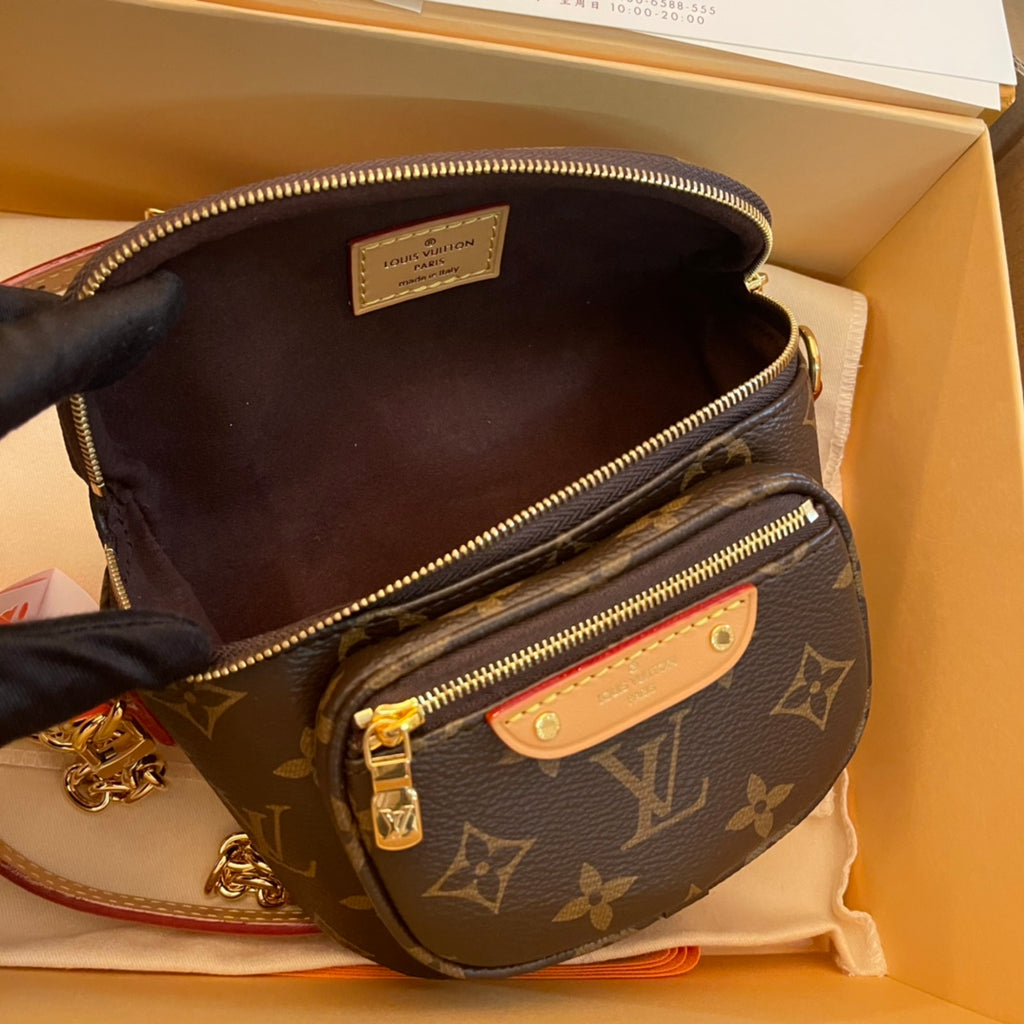 Louis Vuitton Bag