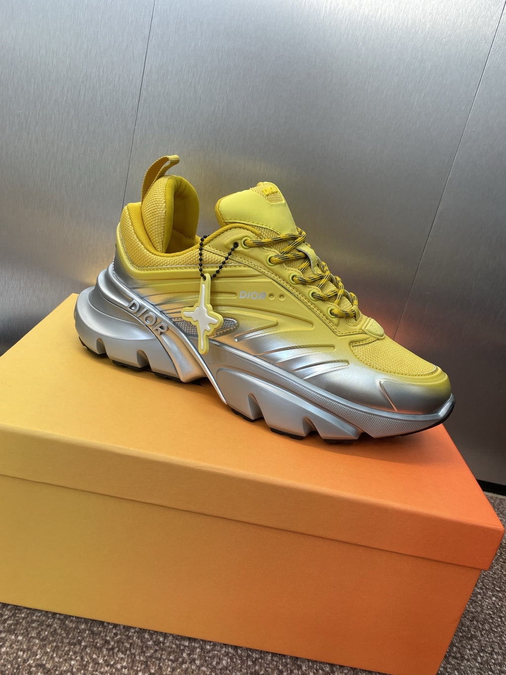 Dior Sneaker Erkek Özel Seri