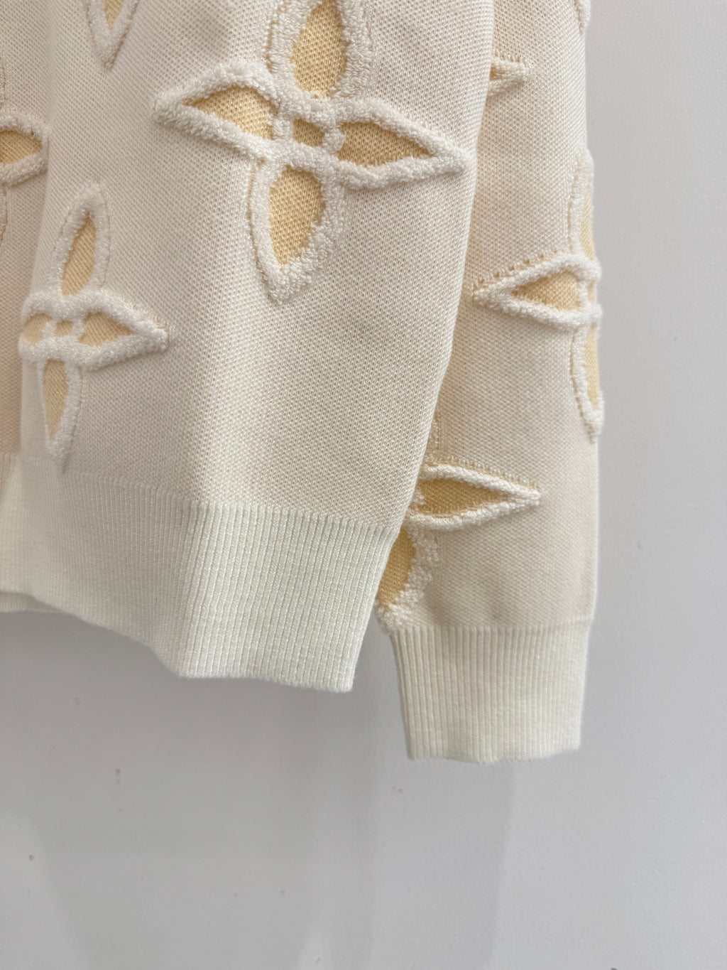 Louis Vuitton Hırka