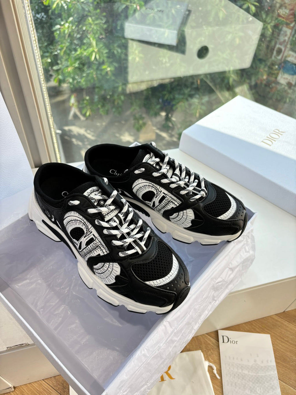 Dior Sneaker