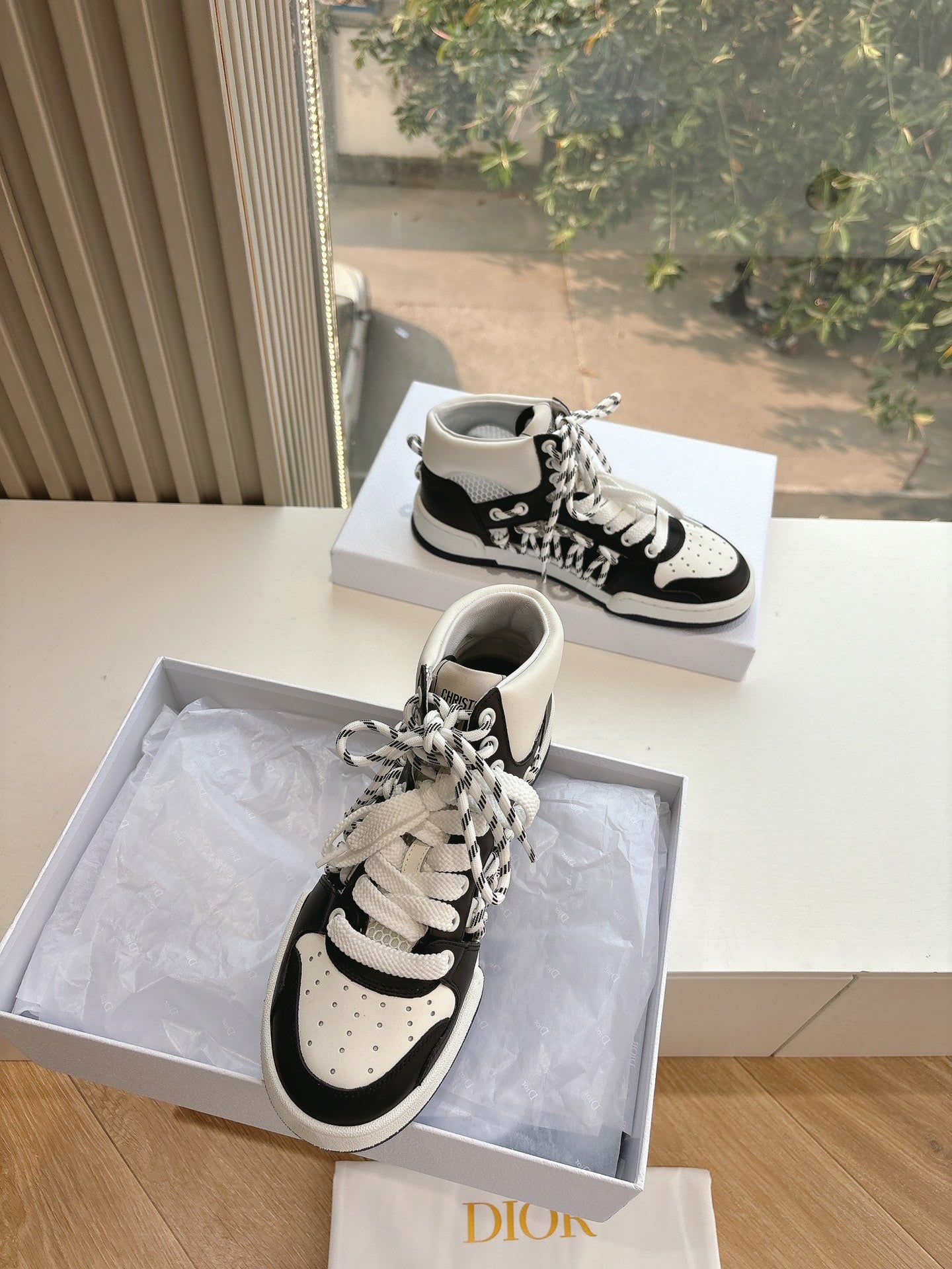 Dior Sneaker