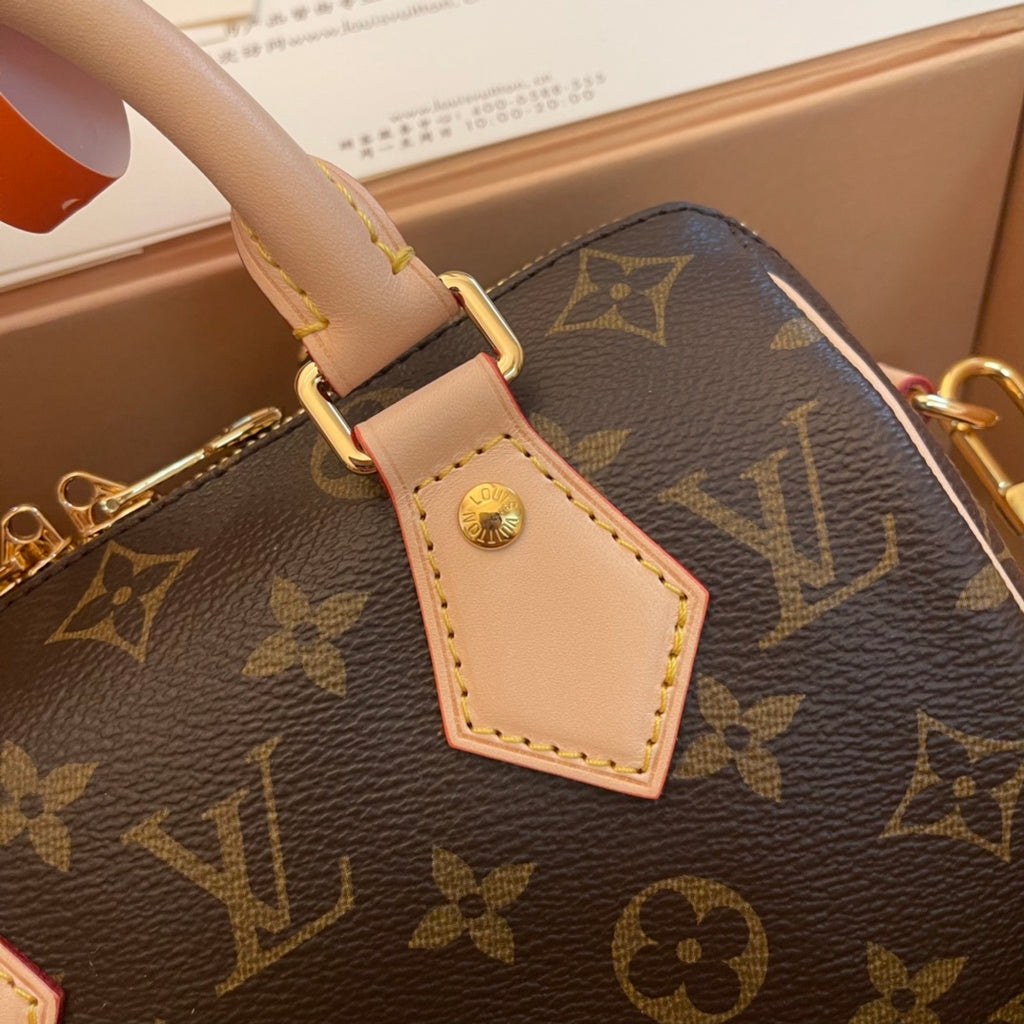 Louis Vuitton Bag