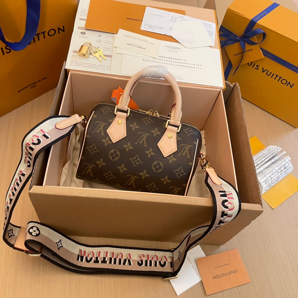 Louis Vuitton Bag