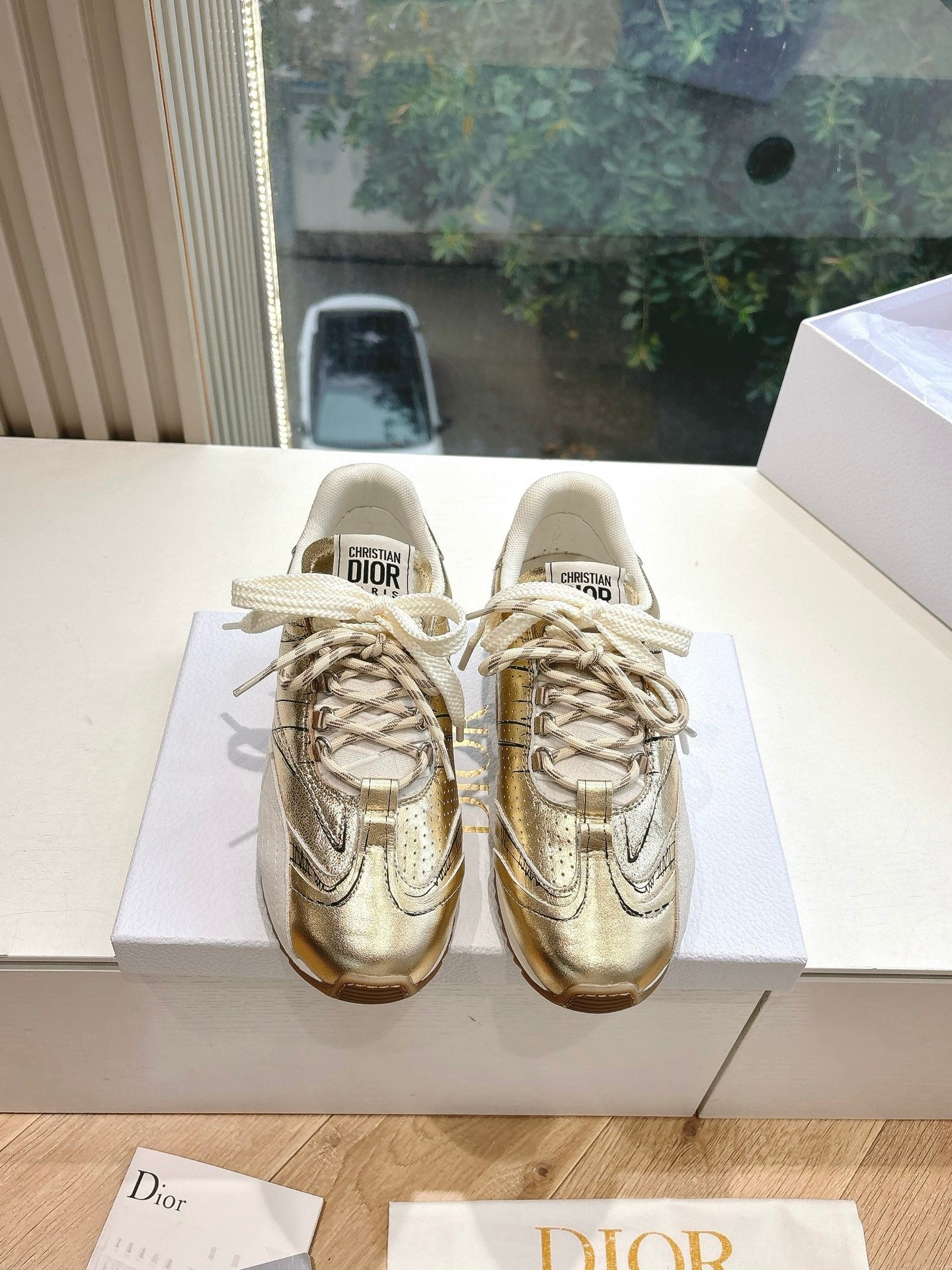 Dior Sneaker