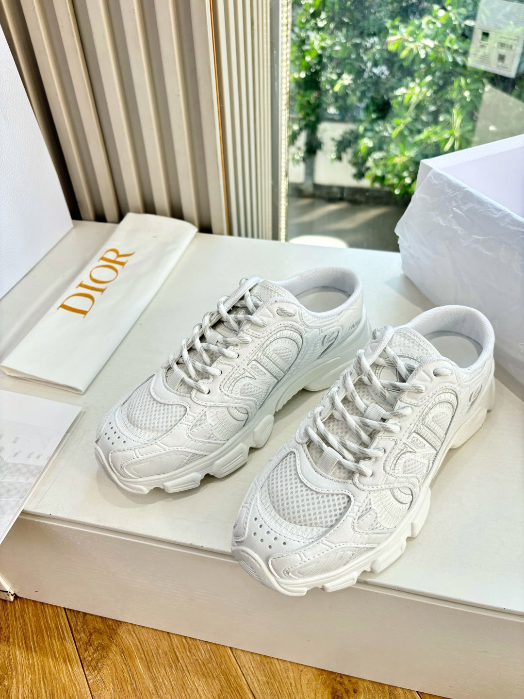 Dior Sneaker