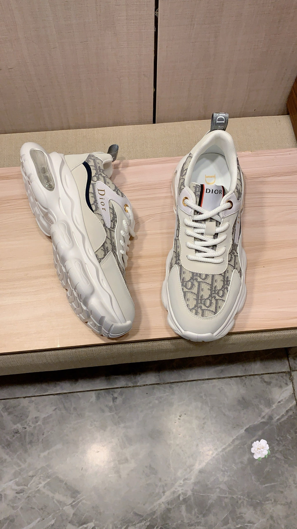 Dior Sneaker
