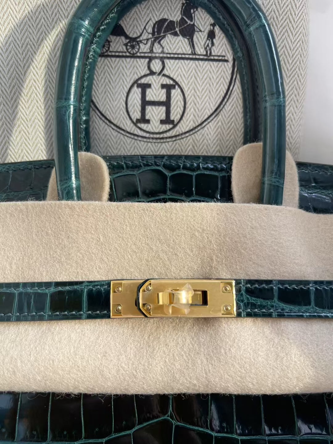 Hermes Birkin 25