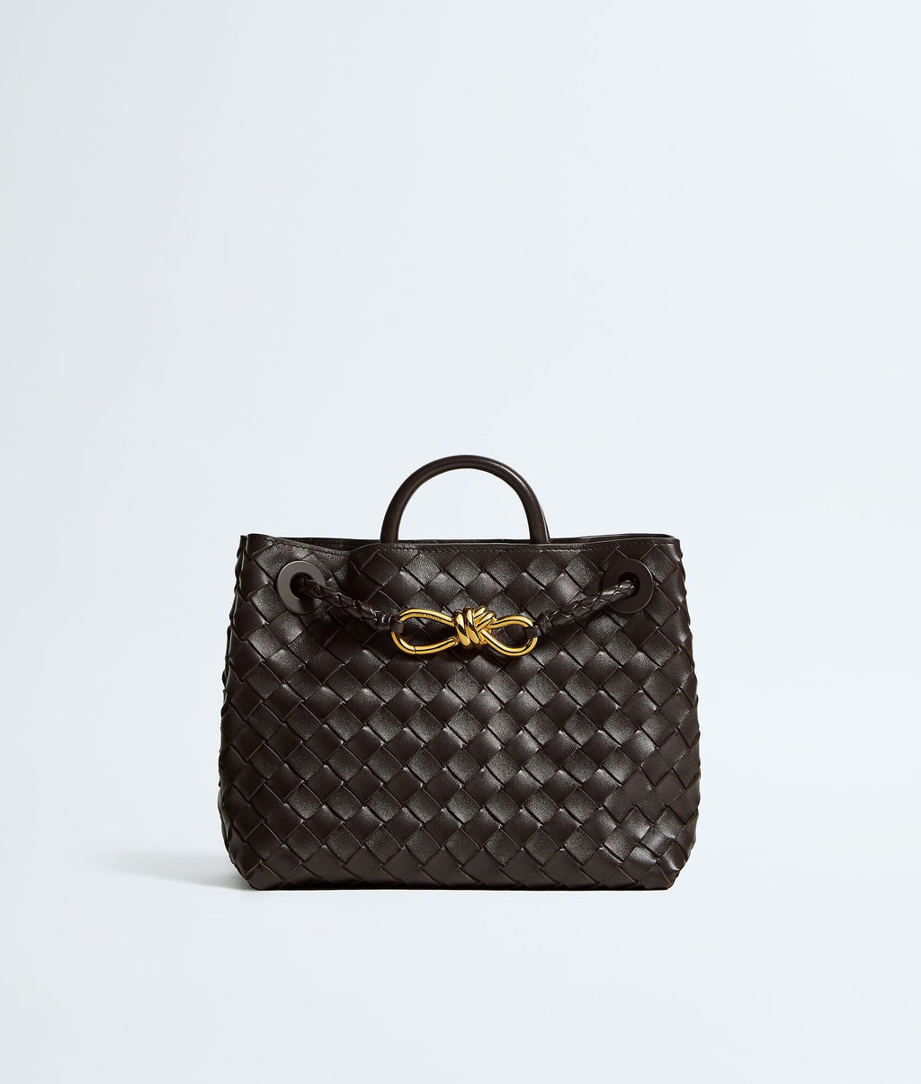 Bottega Veneta Andiamo Small