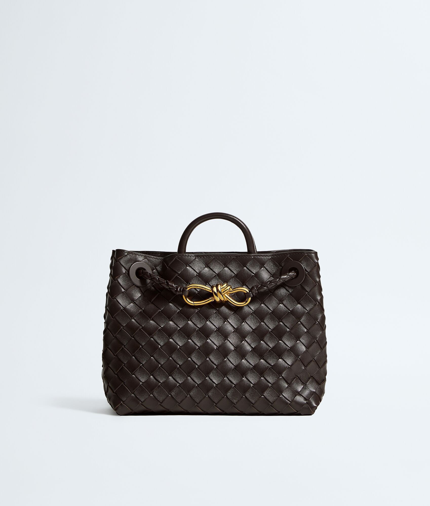 Bottega Veneta Andiamo Small