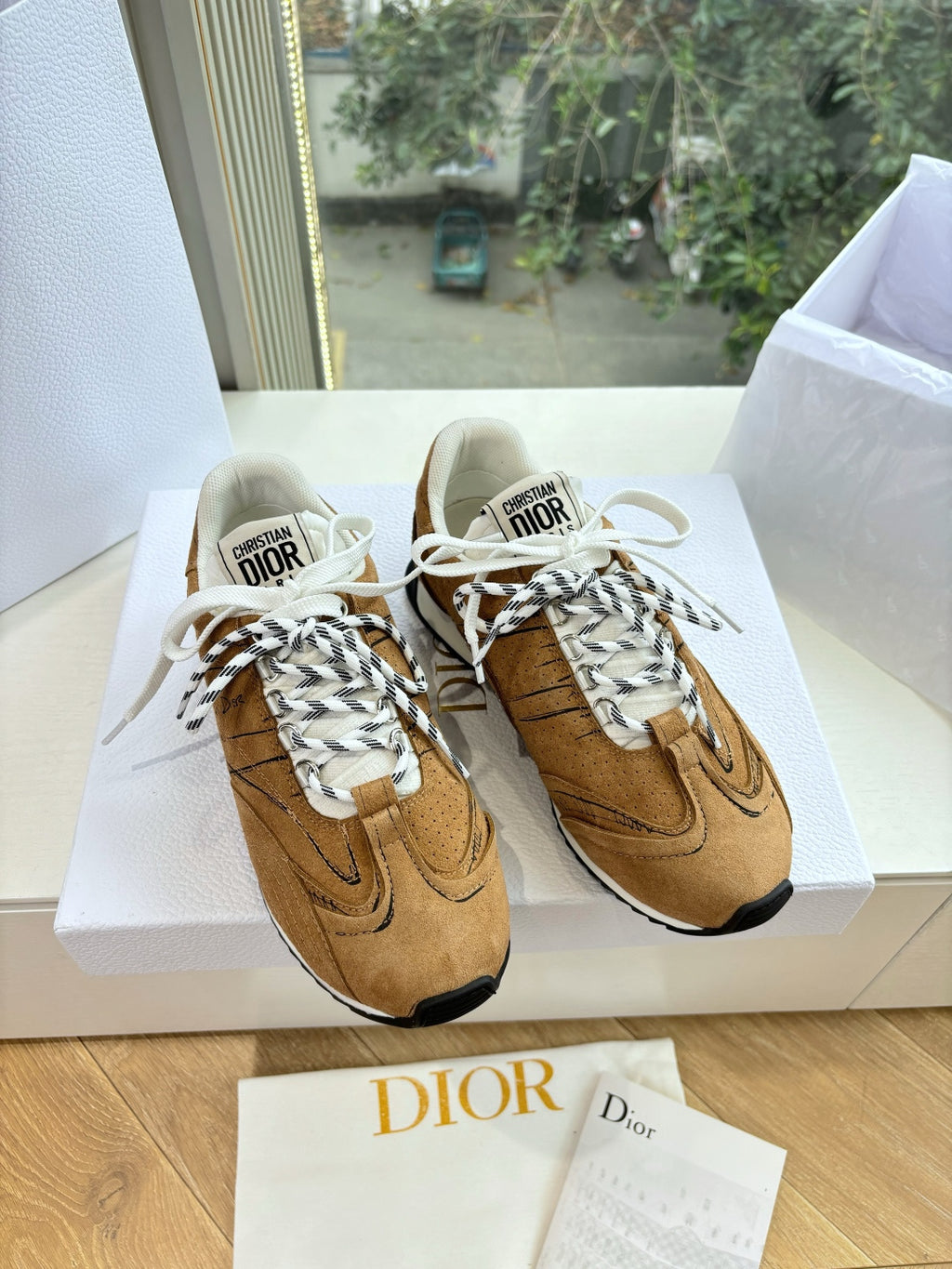 Dior Sneaker