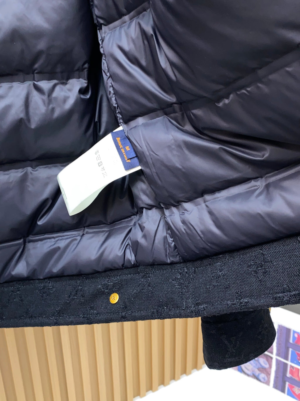 Louis Vuitton Ceket Mont