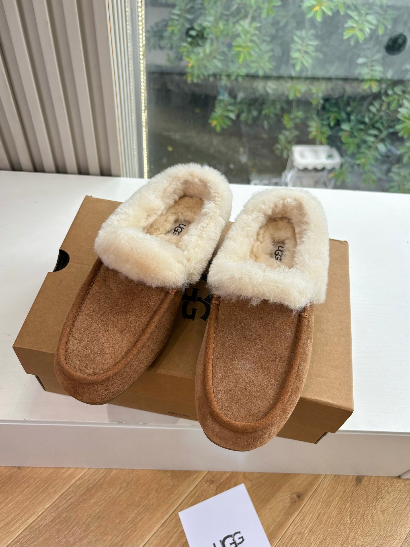 Ugg Terlik