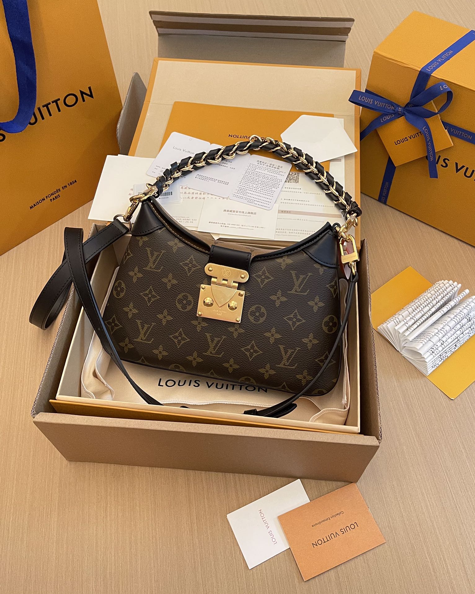 Louis Vuitton Bag
