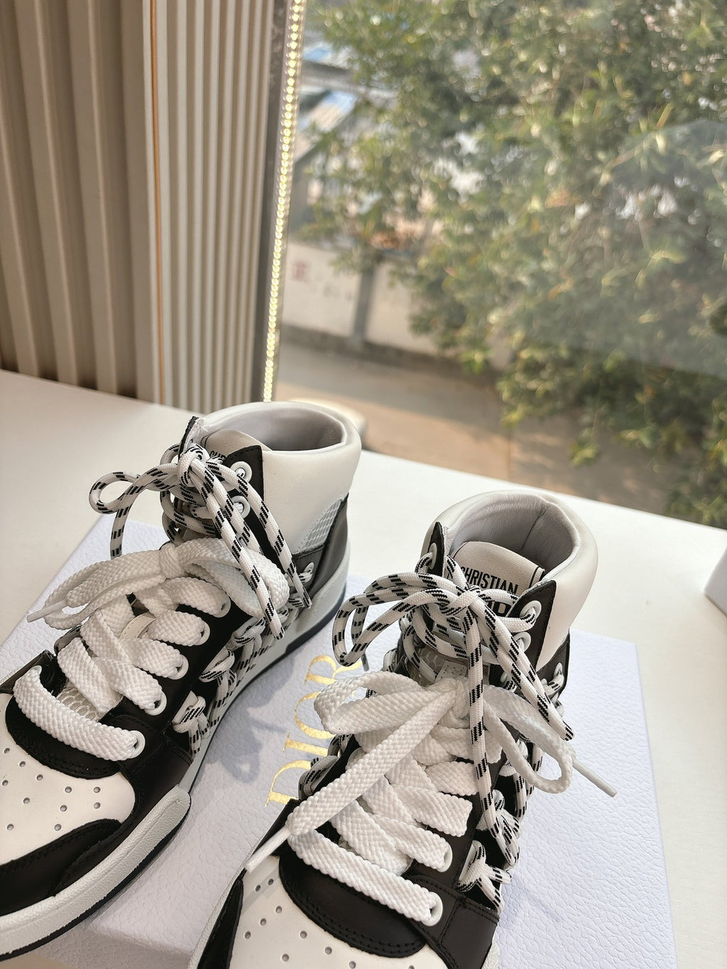 Dior Sneaker