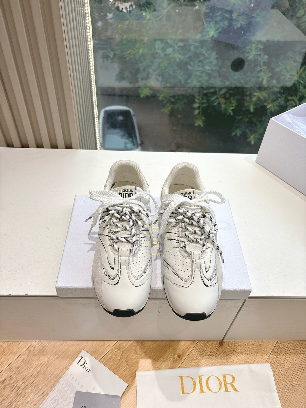 Dior Sneaker