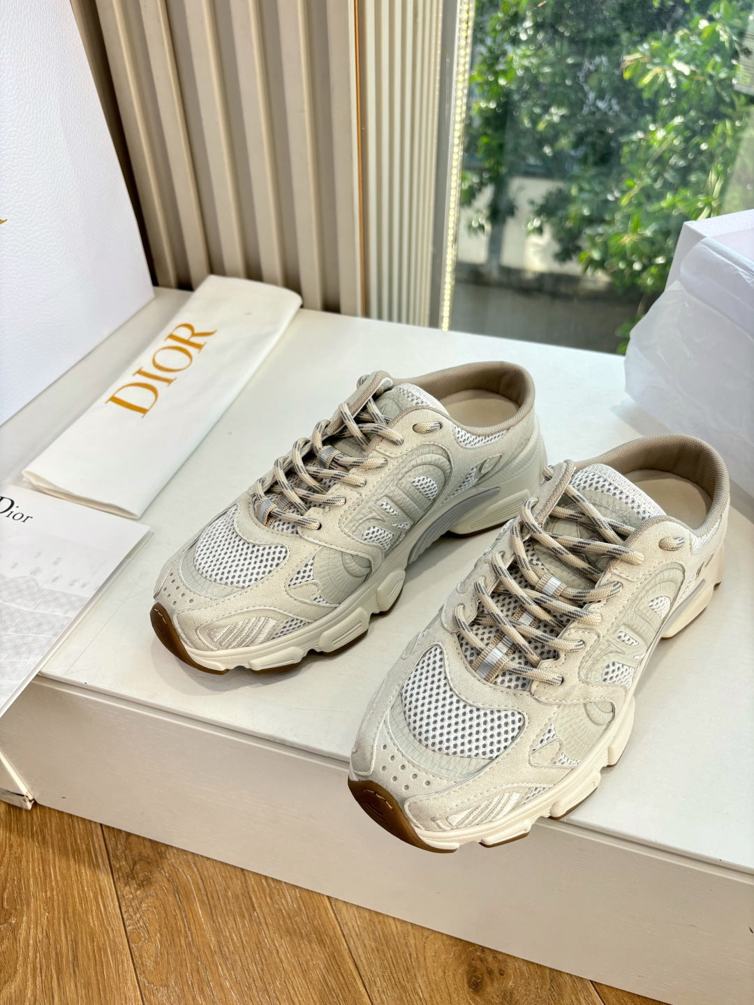 Dior Sneaker